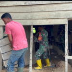 Solidaritas TNI dan Rakyat, Pemulihan Rumah Pascabanjir di Aceh Timur Terus Berlanjut
