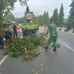 Babinsa dan DLH Bersatu, Ranting Mengancam Pengguna Jalan di Langsa Kota Ditertibkan