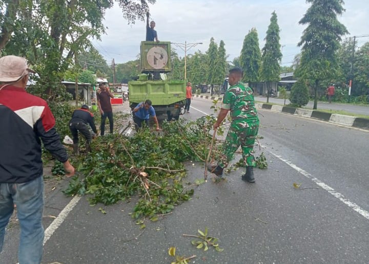 Babinsa dan DLH Bersatu, Ranting Mengancam Pengguna Jalan di Langsa Kota Ditertibkan