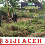 Satgas TMMD Kodim 0104/Atim Sulap Lahan Tidur Jadi Kebun Produktif di Alue Canang